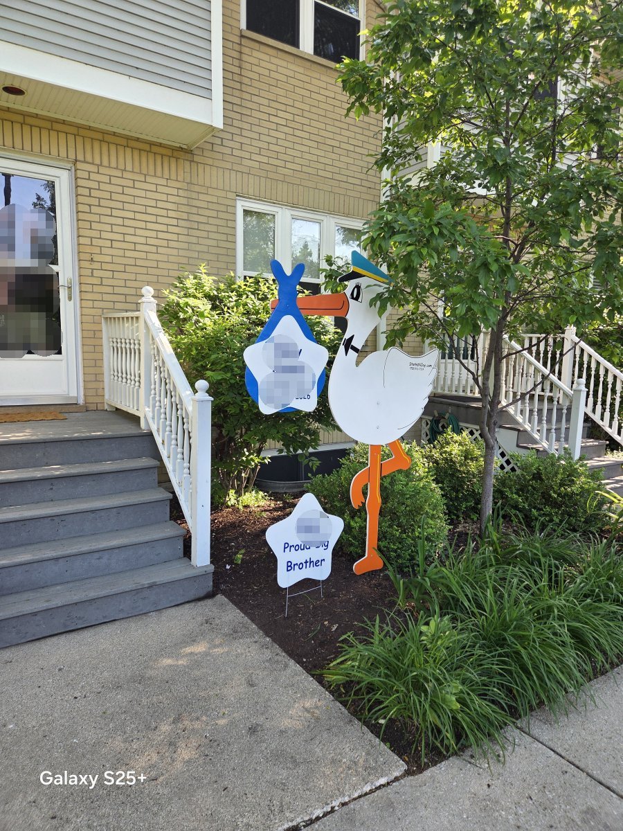 StorksNJoy rental – 2026 05 25 Chicago North Of 31st East Of Western Boy