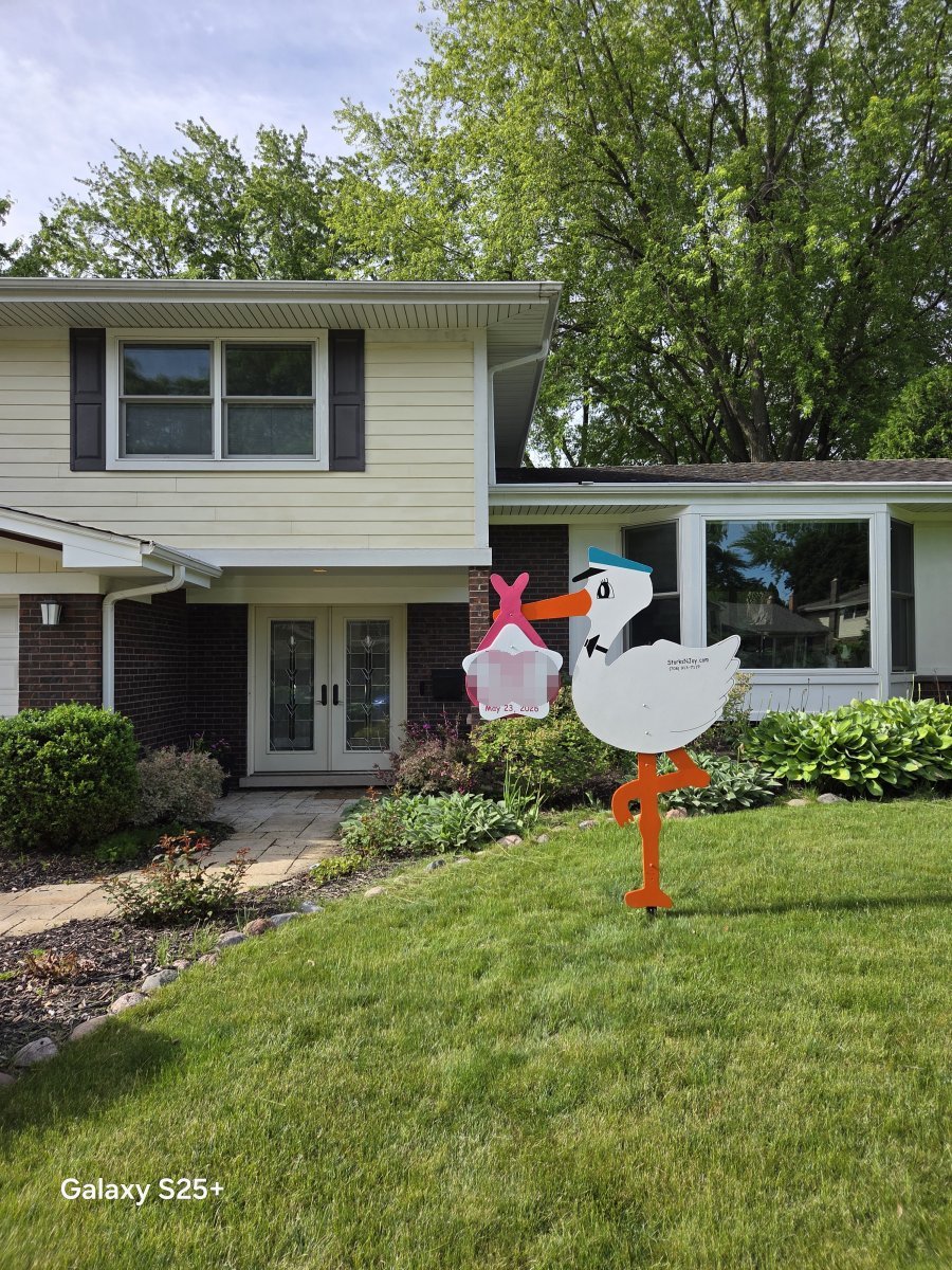 StorksNJoy rental – 2026 05 26 Arlington Heights Girl