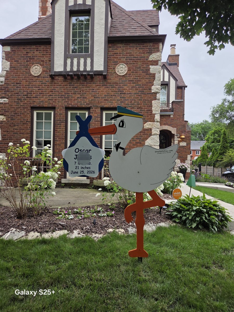 StorksNJoy rental – 2026 06 26 Chicago Boy