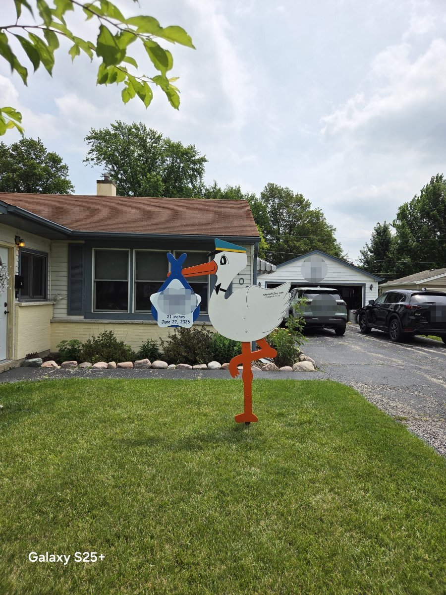 StorksNJoy rental – 2026 06 28 Rolling Meadows Boy