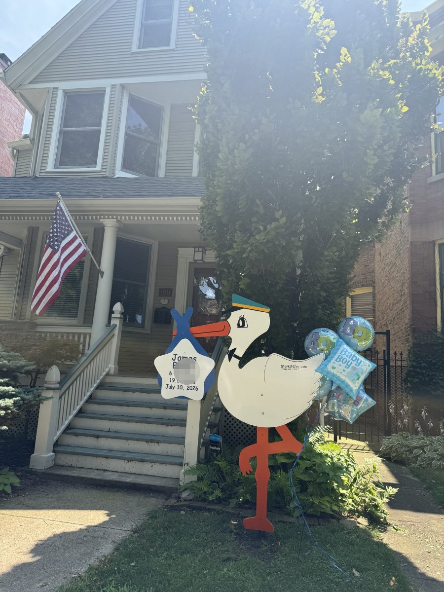StorksNJoy rental – 2026 07 15 Chicago 15 East Of Western Ave North Of 31st St Boy