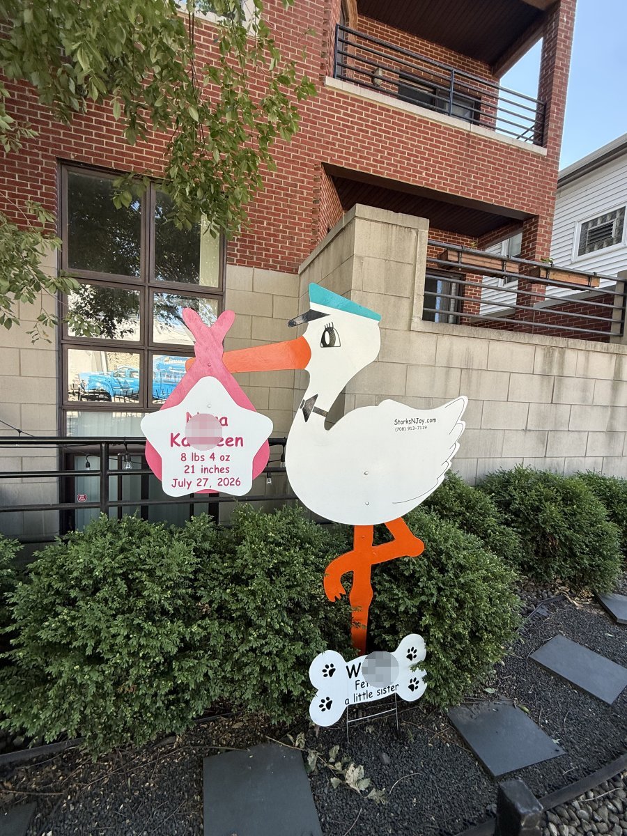 StorksNJoy rental – 2026 07 29 Chicago Standard Address Direction Not Recognized Flagged Girl