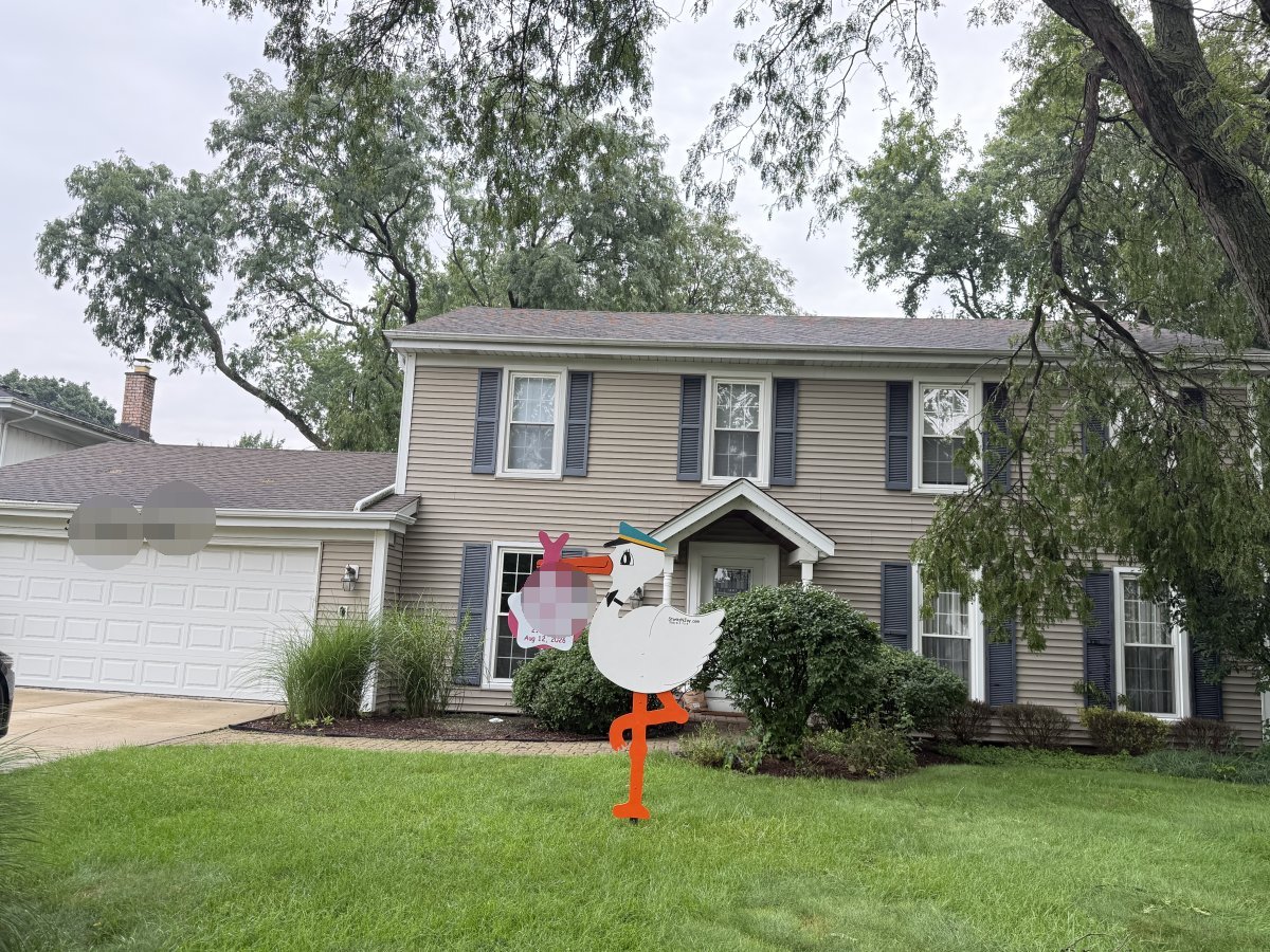 StorksNJoy rental – 2026 08 14 Downers Grove Girl